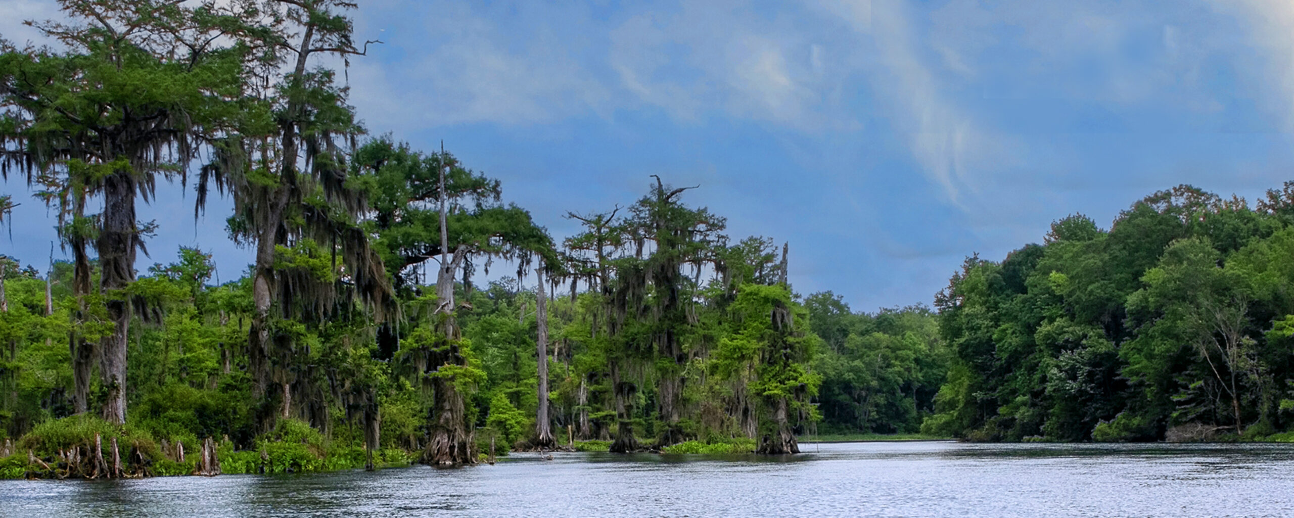 Clay County Landscape